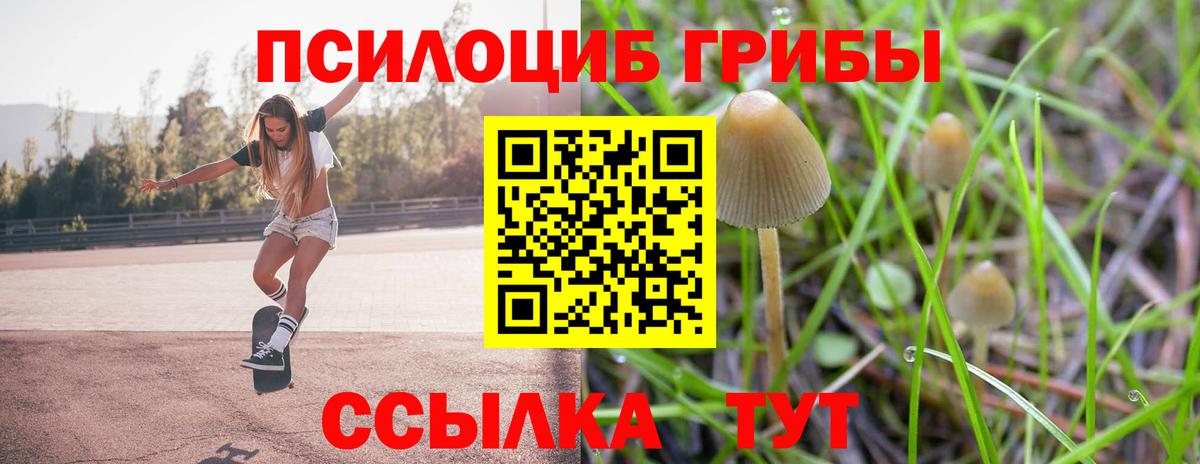 Галлюциногенные грибы мицелий Чайковский